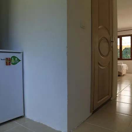 Hane 229 Surfers Homestay